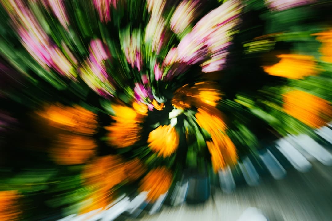 艺评丨常瑞芳：在国际的荒唐与日子的悲情中寻觅生命价值